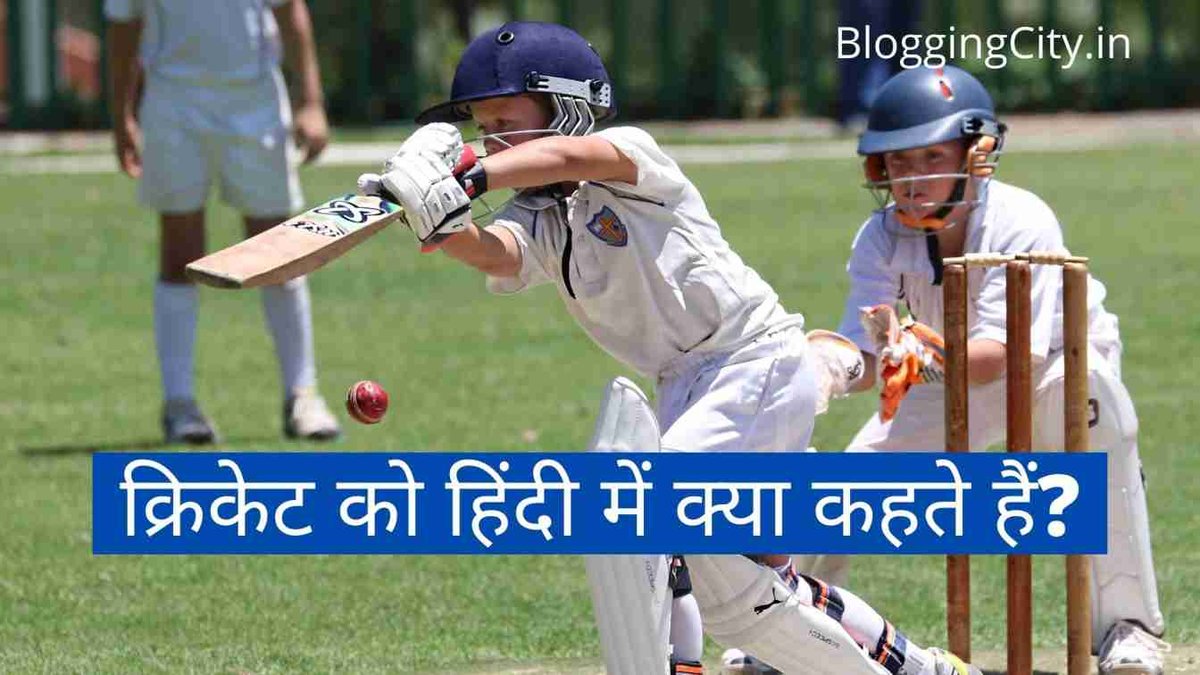 Cricket Name in Hindi