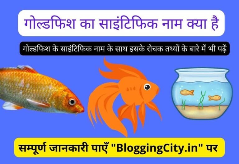 Goldfish ka Scientific Naam Kya hai? – Goldfish का साइंटिफिक नाम क्या है? सम्पूर्ण जानकारी हिंदी में 2023